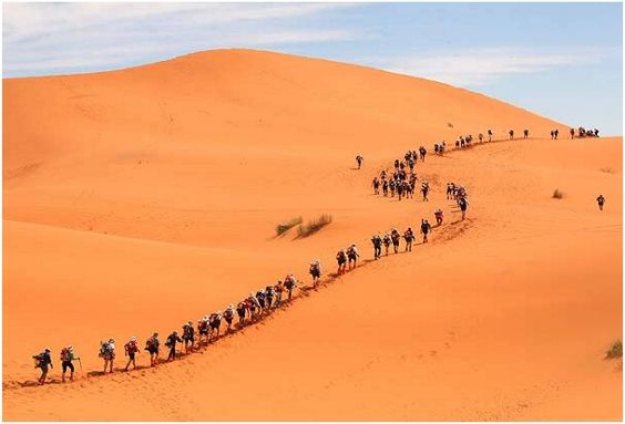 Por que os israelitas levaram 40 anos para atravessar o deserto do Sinai,  se este só tem 200km de largura? | Defendendo a Fé Cristã